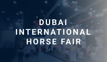 Dubai International Horse Fair